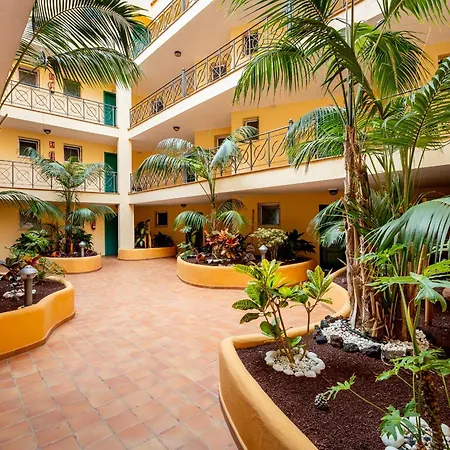 Apartment Tropical Position *